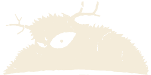 Boglands logo